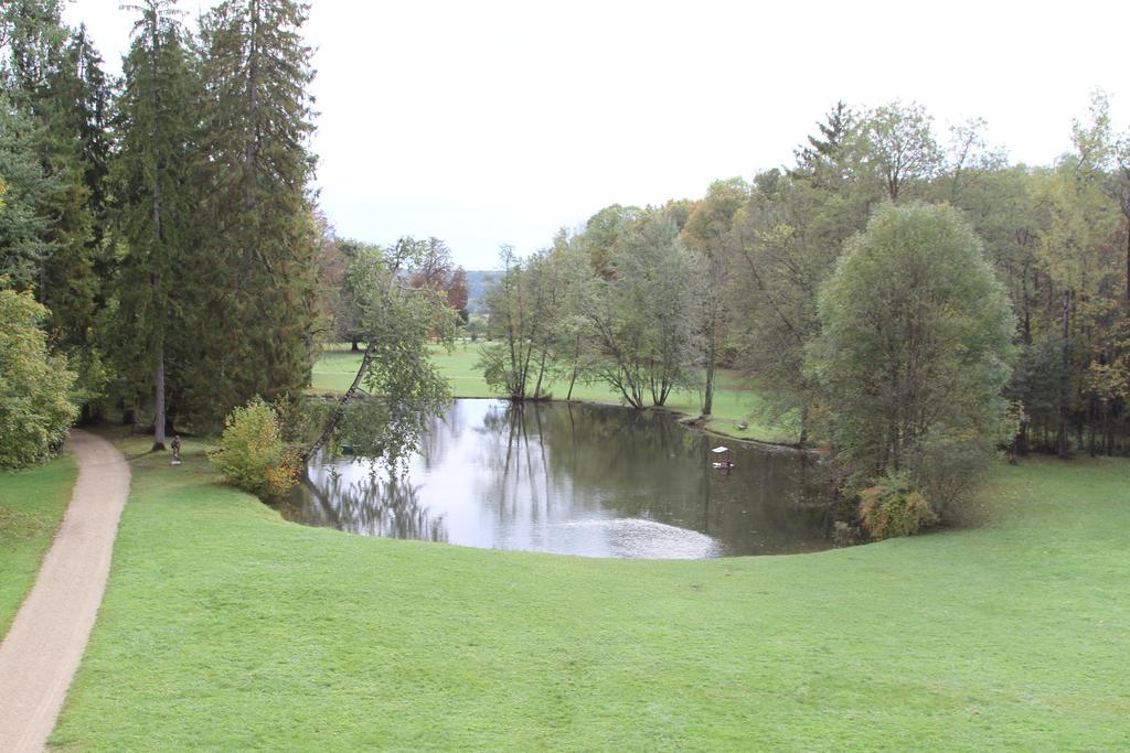 Chateau Du Breuil Gevrolles Ruang foto